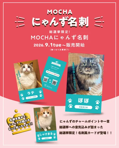 大人気おやつ「550円⇒無料」クーポン♪』猫カフェMOCHA （モカ