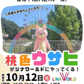桃色ウサヒがやってきます!