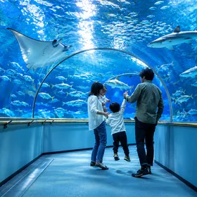【1/9-10】親子で泊まる水族館ナイト