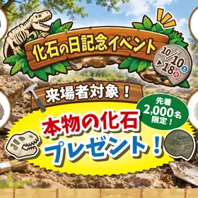「化石の日」記念イベント！開催！