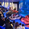 【12/5・3/27】水族館×石見神楽