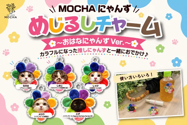 大人気おやつ「550円⇒無料」クーポン！』猫カフェ MOCHA（モカ） 町田