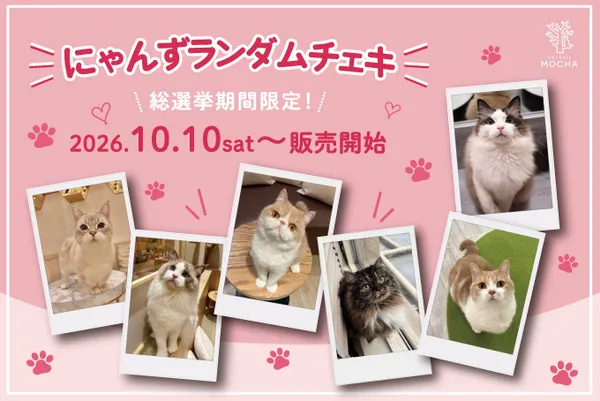 大人気おやつ「550円⇒無料」クーポン！』猫カフェ MOCHA（モカ） 町田