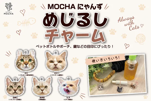 大人気おやつ「550円⇒無料」クーポン！』猫カフェ MOCHA（モカ） 立川