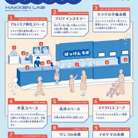 新コーナー「はっけんラボ」完成！