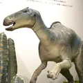恐竜や化石から学ぶ、進化の歴史！