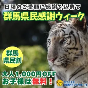 群馬県民割2026|10/24〜11/1