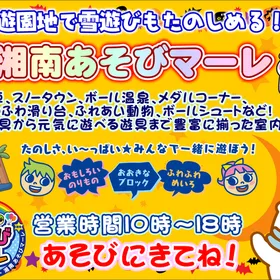 今の時期がねらい目「湘南あそびマーレ」