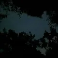 いつのまにか