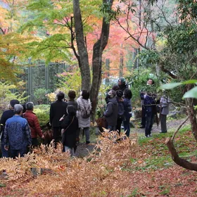 庭園貸切！ 秋の庭園散策ガイド
