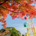 秋まつり【第2弾】開催のお知らせ🍂