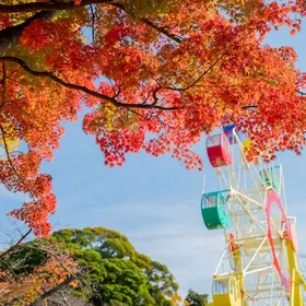 秋まつり【第2弾】開催のお知らせ🍂