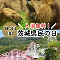 11/13(金) 茨城県民の日イベント
