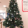 今年もクリスマスツリーが登場！