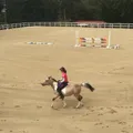 児童のためのキッズポニークラブ新規開講！