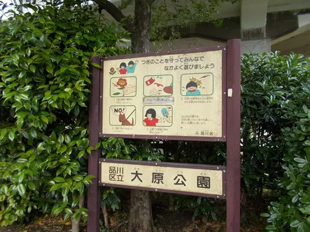 【いこーよ投稿】 