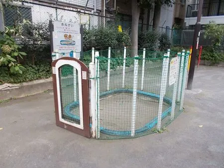 【いこーよ投稿】 