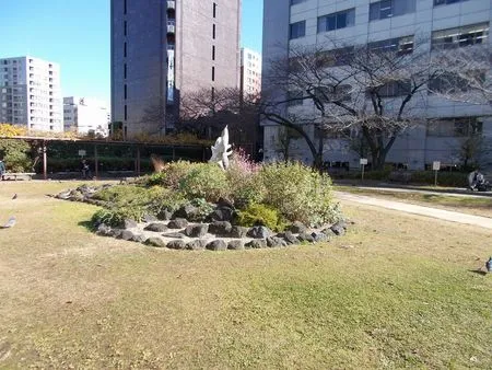 【いこーよ投稿】 