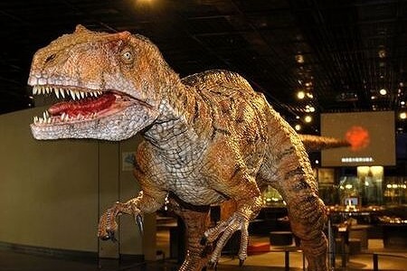 理科の自由研究スポット4<br />恐竜博物館
